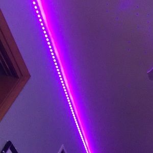 Meet your Posher, Presley